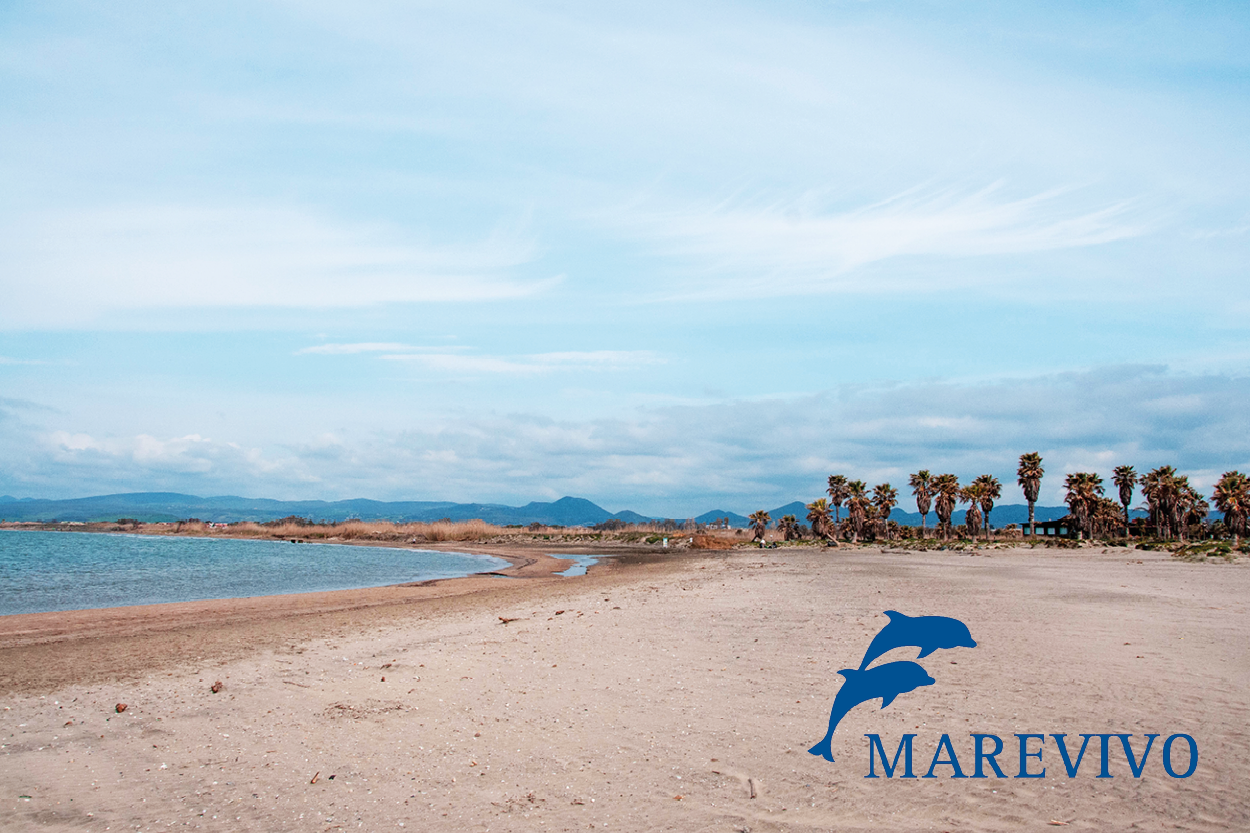 DKC e Sati Italia: unire le forze per salvaguardare le spiagge